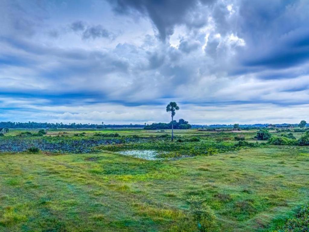 Ry'S Lotus Resort D'Angkor Siem Reap Eksteriør bilde
