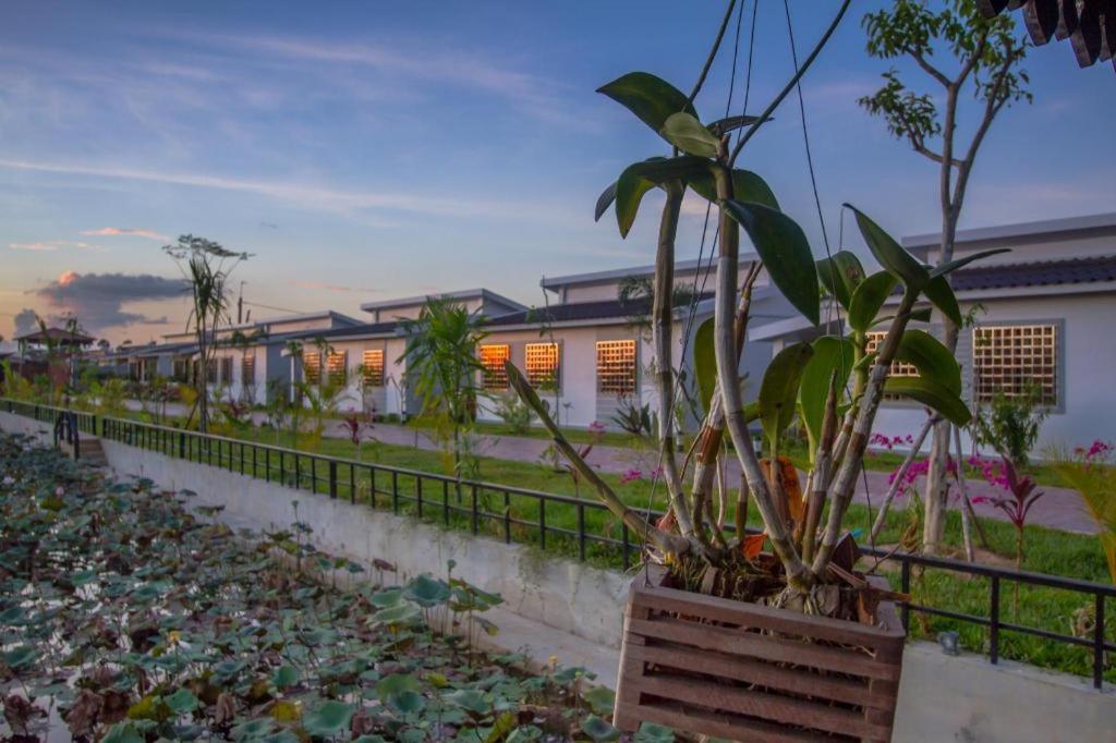 Ry'S Lotus Resort D'Angkor Siem Reap Eksteriør bilde