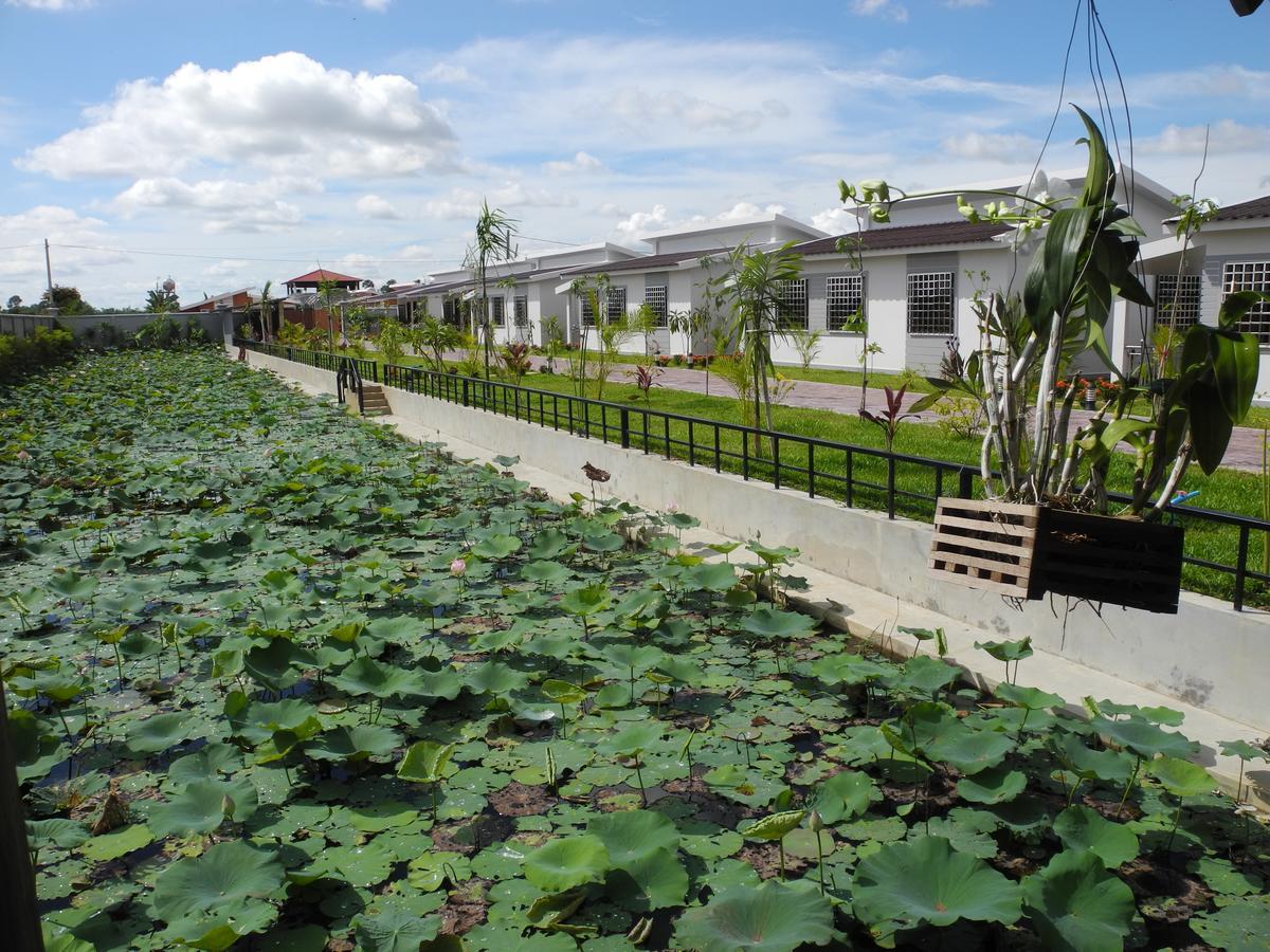 Ry'S Lotus Resort D'Angkor Siem Reap Eksteriør bilde